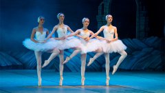 舞蹈培訓機構管理系統有什么價值？