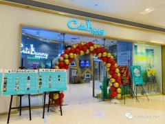 成都少兒美育機構“背帶兔藝術”宣布破產：老板失聯、數百位家長維權