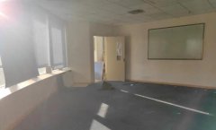 曙光散盡：北京教培機構的六月淪陷