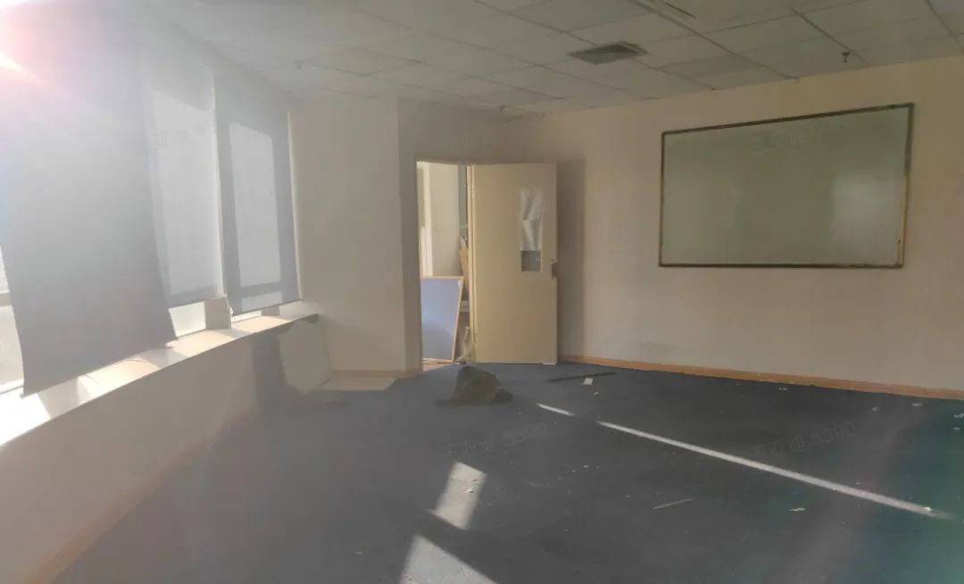 曙光來臨：復課的北京教培能否觸底反彈？